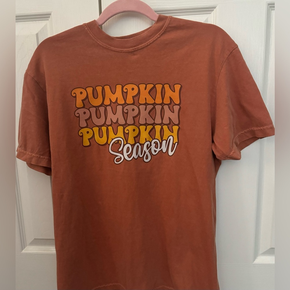 Pumpkin pumpkin pumpkin season comfort colors T-shirt